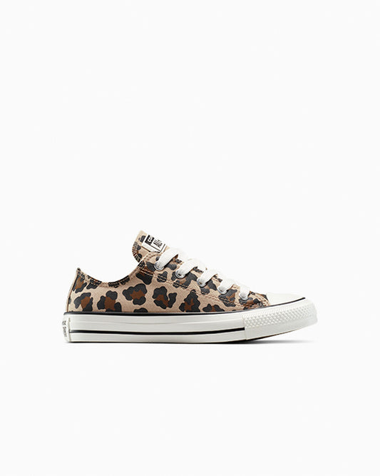 Warm Quarry/Vintage White